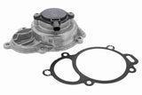 Timing Case Cover - V10-6775