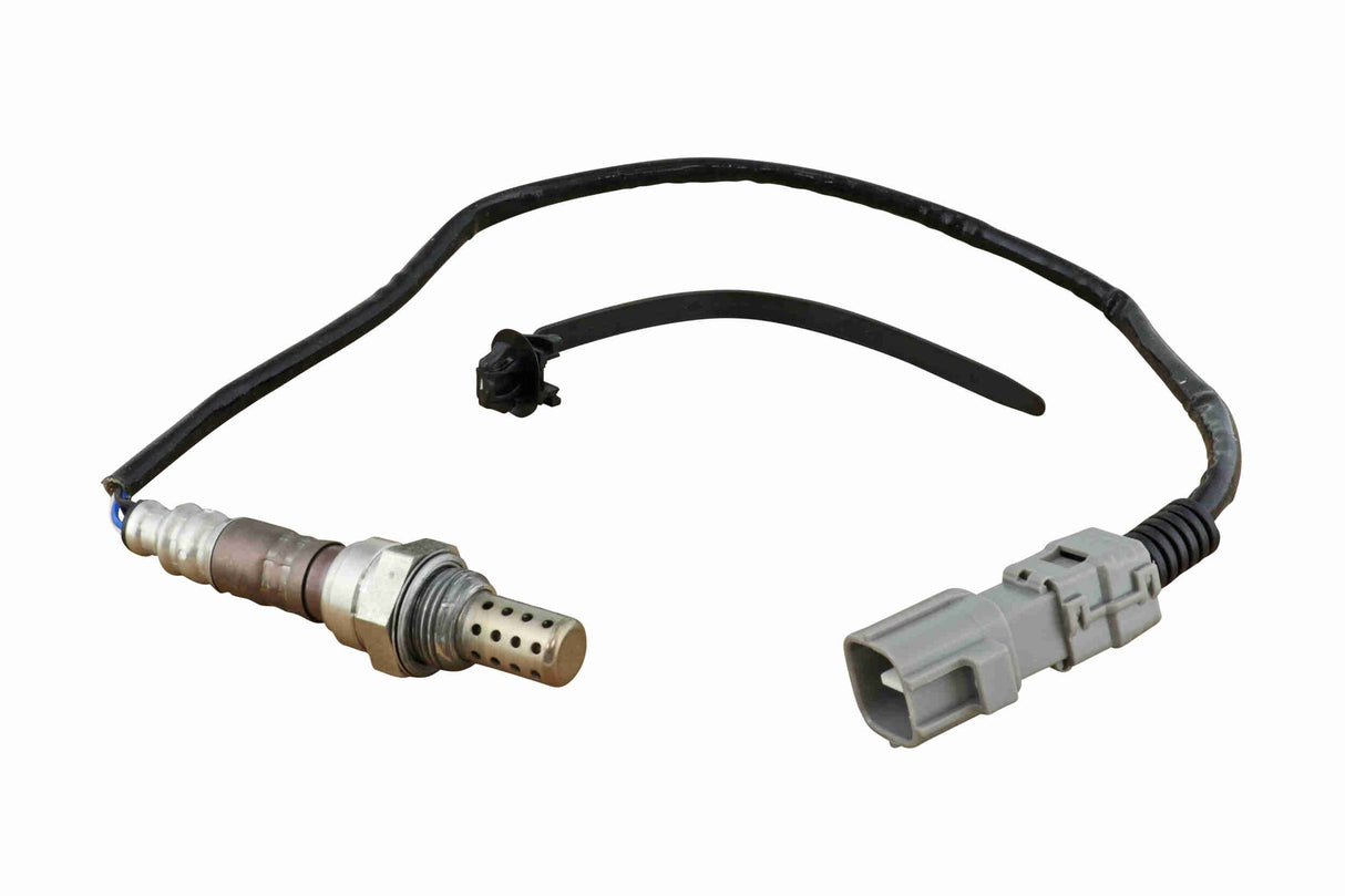 Oxygen Sensor - V70-76-0031