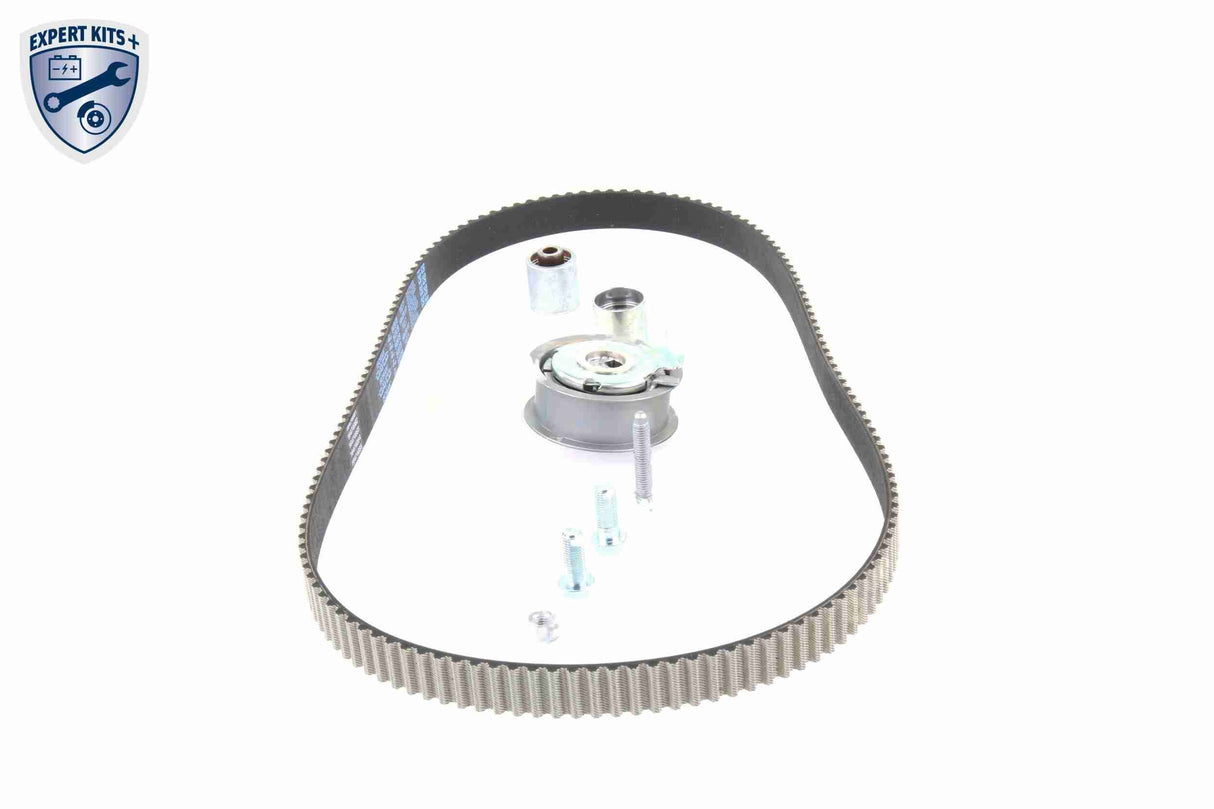 Timing Belt Kit - V10-4233