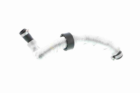 Radiator Hose - V20-2946