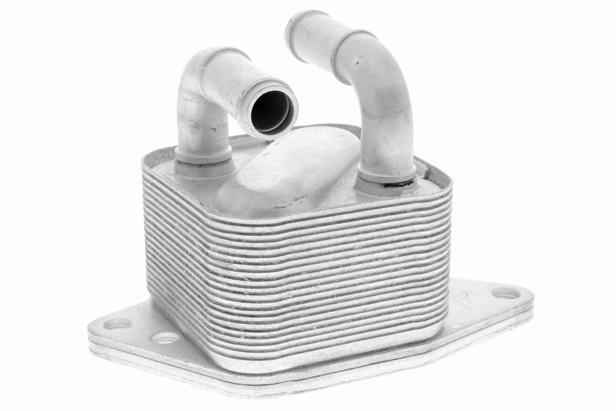 Oil Cooler, engine oil - V15-60-6072