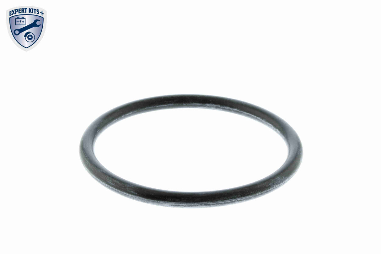 Thermostat, coolant - V15-99-2075