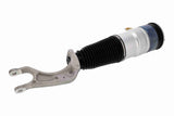 Air Suspension Strut - V58-50-0014