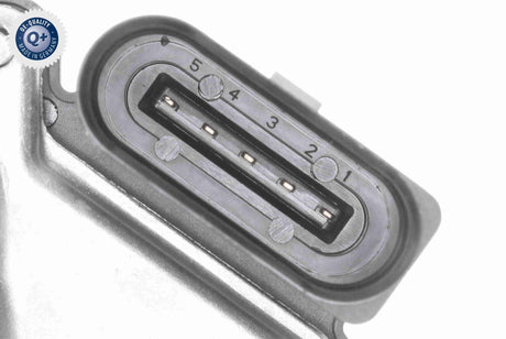 Throttle Body - V10-81-0091