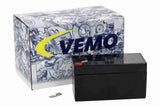 Deep Cycle Battery - V99-17-0061