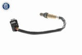 Oxygen Sensor - V52-76-0026