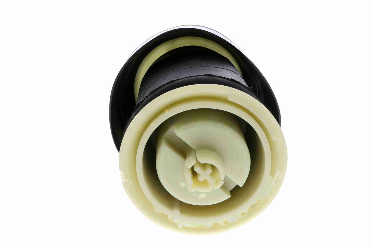 Air Suspension Strut - V20-50-0010-1