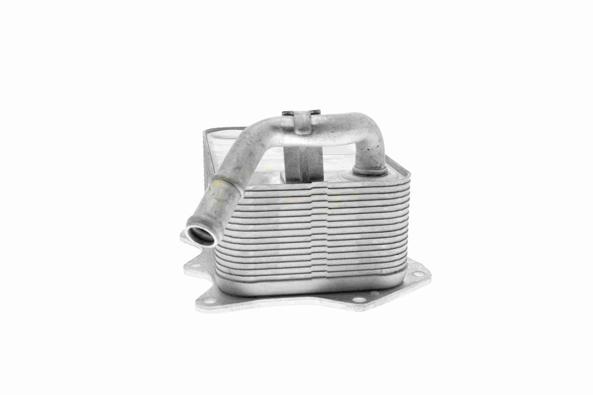 Oil Cooler, engine oil - V15-60-0008