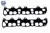 Gasket Set, oil cooler - V30-60-91317