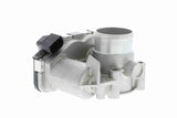 Throttle Body - V24-81-0009