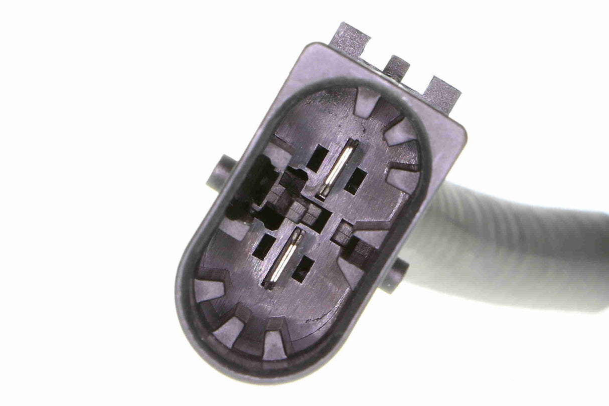 Secondary Air Pump - V42-63-0012