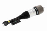 Air Suspension Strut - V30-50-0058