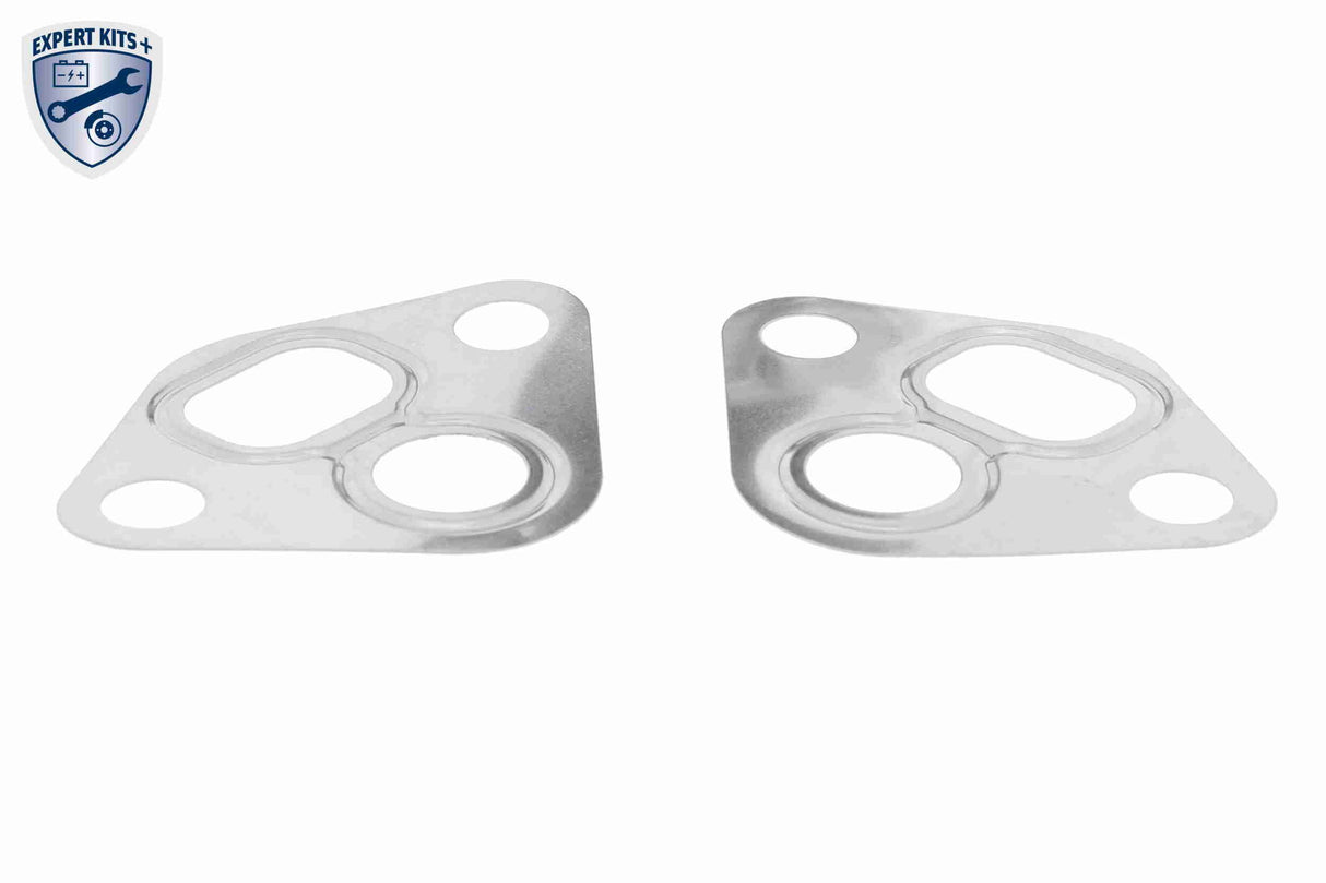 Valve, exhaust gas recirculation - V10-63-0003