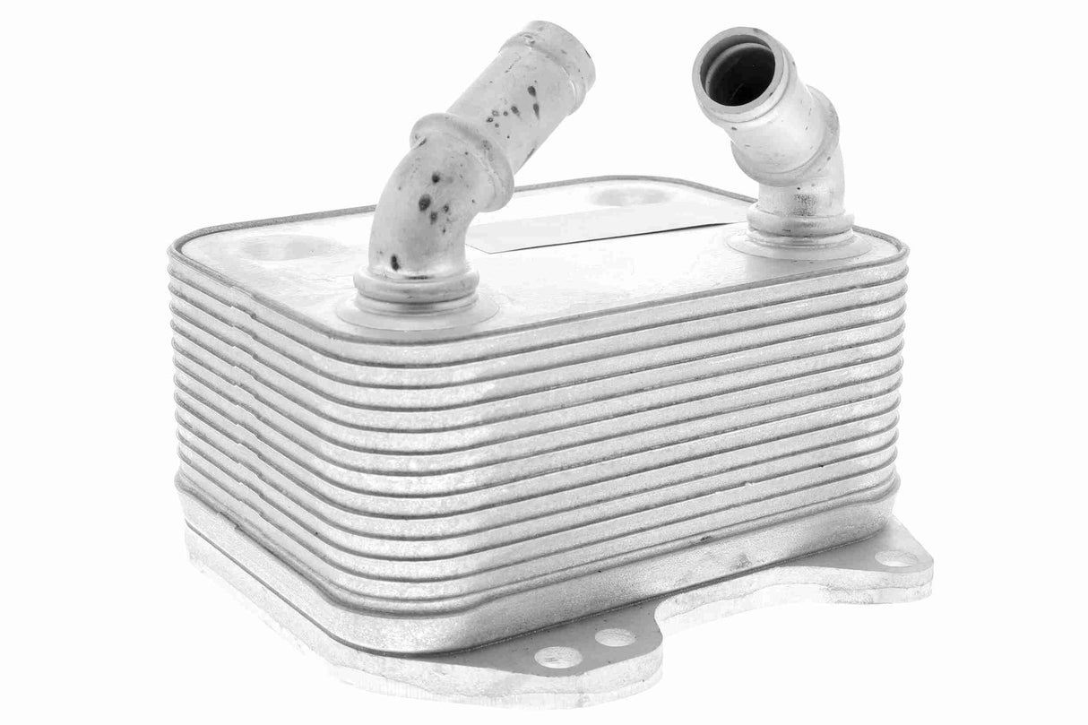 Oil Cooler, engine oil - V15-60-0007