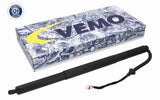 Electric Motor, tailgate - V10-55-0040