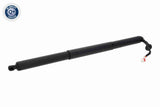 Electric Motor, tailgate - V10-55-0033