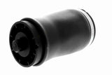 Air Suspension Strut - V20-50-0001-1
