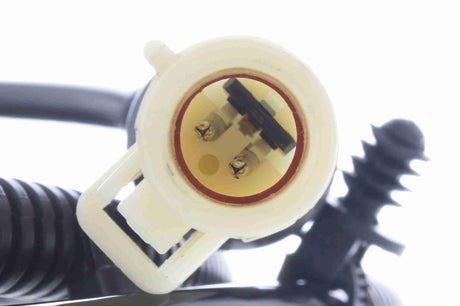 Sensor, wheel speed - V25-72-1153