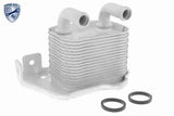 Oil Cooler, engine oil - V40-60-2105