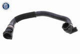 Radiator Hose - V20-3865