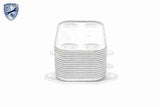 Oil Cooler, engine oil - V15-60-6061