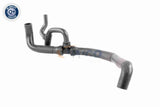 Radiator Hose - V10-2813