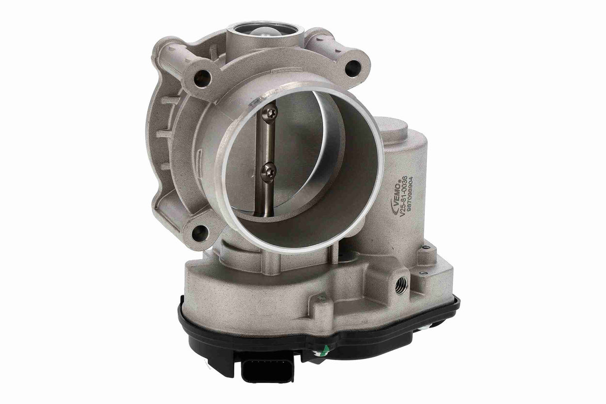 Throttle Body - V25-81-0036