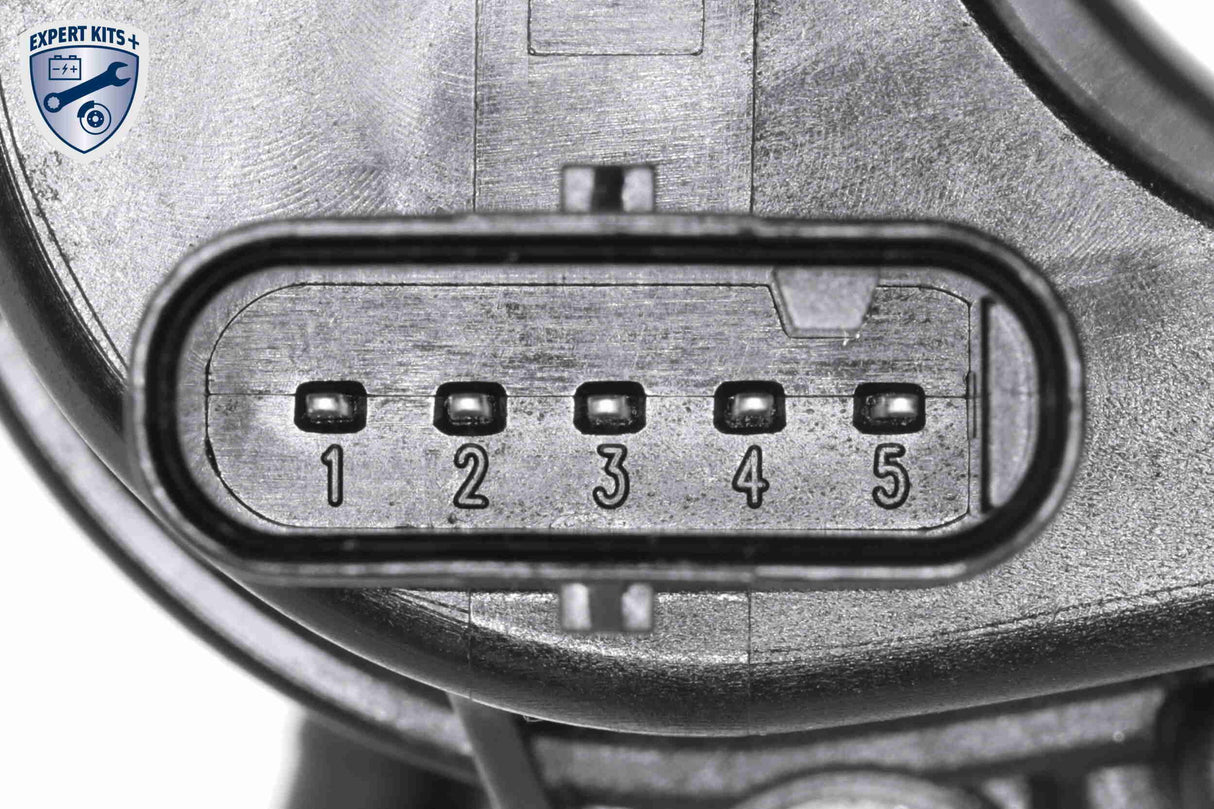 Intake Manifold Module - V20-2175