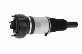 Air Suspension Strut - V15-50-0012