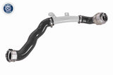 Charge Air Hose - V46-1494