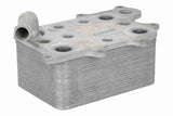 Oil Cooler, engine oil - V25-60-3032