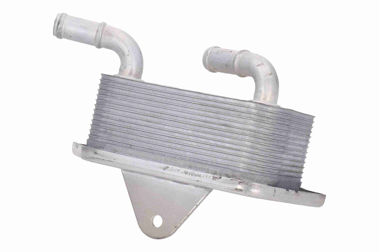 Oil Cooler, engine oil - V15-60-6019