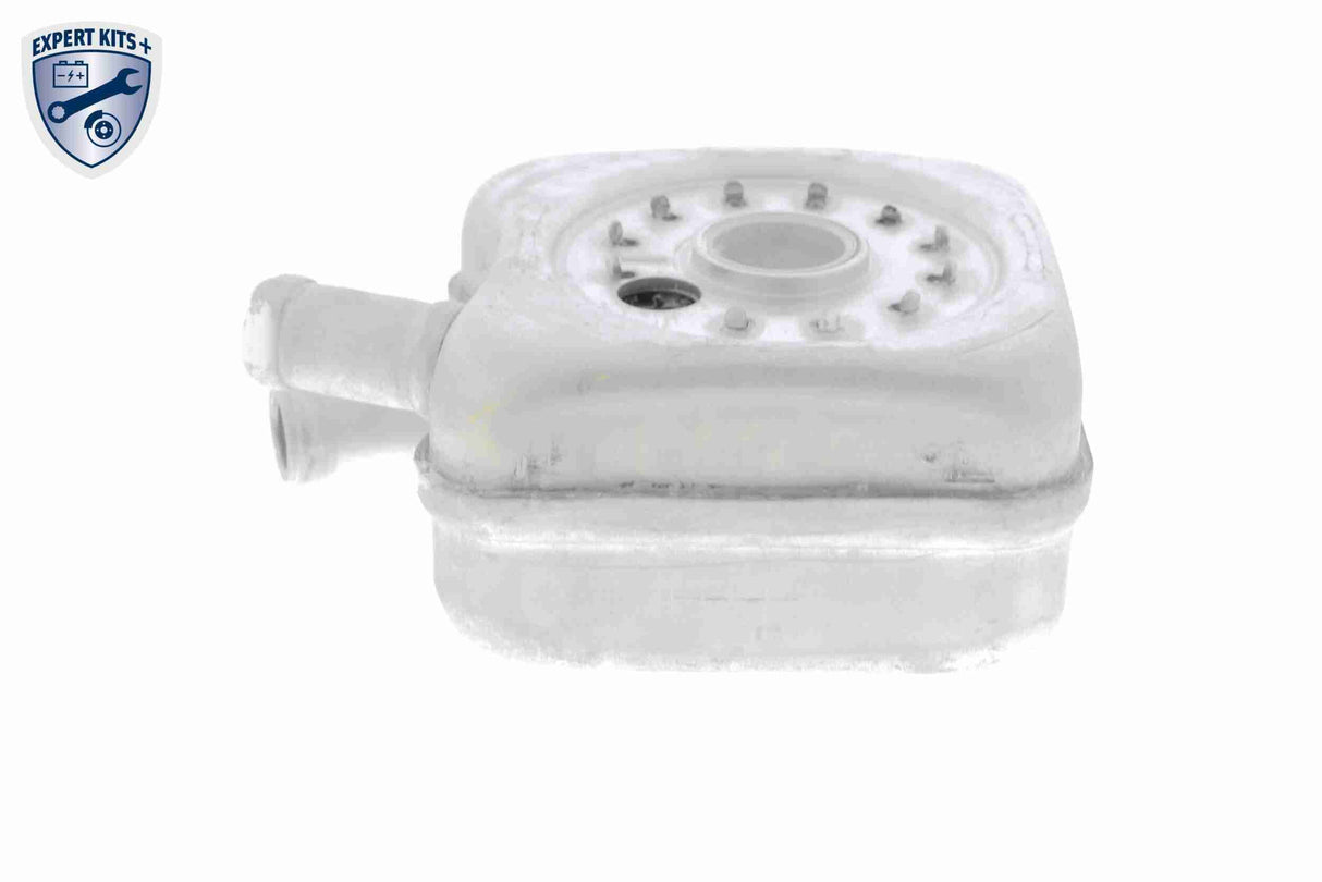 Oil Cooler, engine oil - V15-60-6011