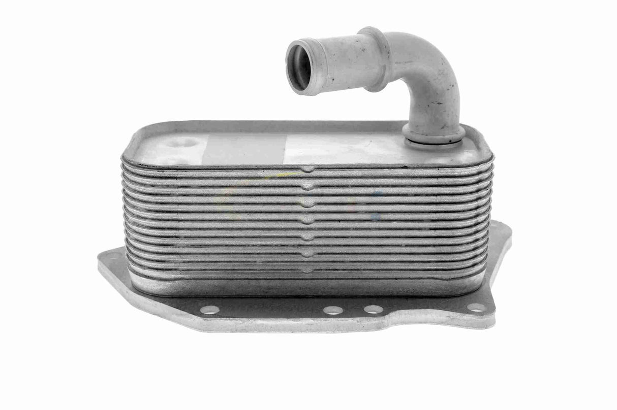 Oil Cooler, engine oil - V40-60-2107