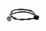 Oxygen Sensor - V52-76-0011