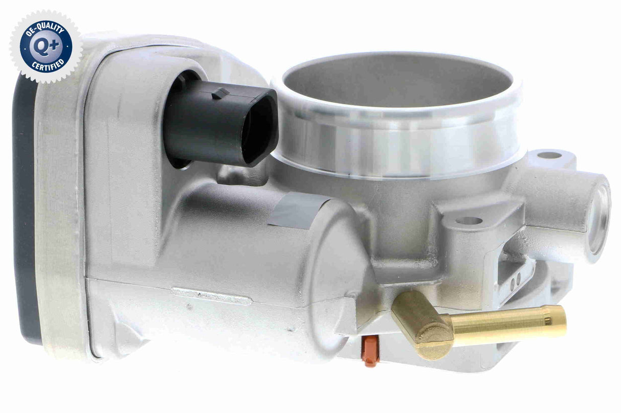 Throttle Body - V20-81-0020