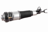 Air Suspension Strut - V15-50-0002-1