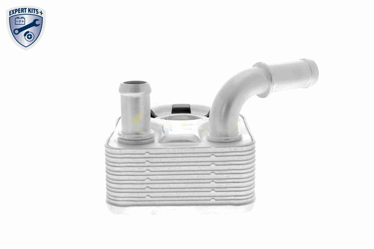Oil Cooler, engine oil - V25-60-0046
