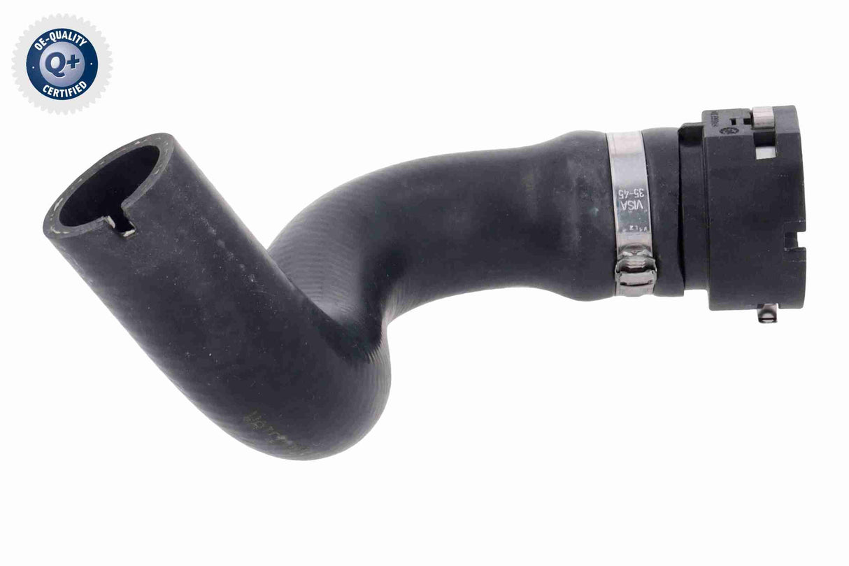 Radiator Hose - V24-1428