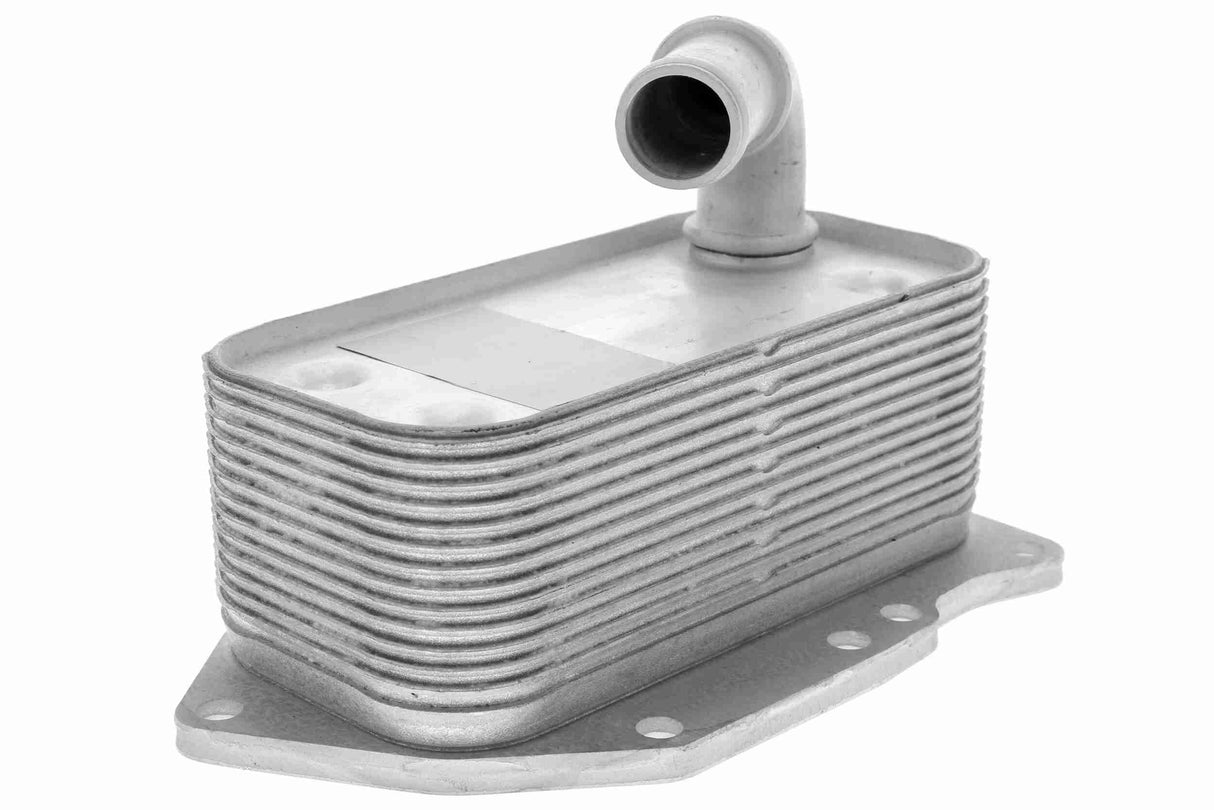 Oil Cooler, engine oil - V40-60-2107