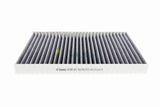 Filter, cabin air - V10-31-1040-1