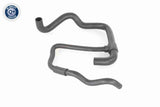 Radiator Hose - V46-1632