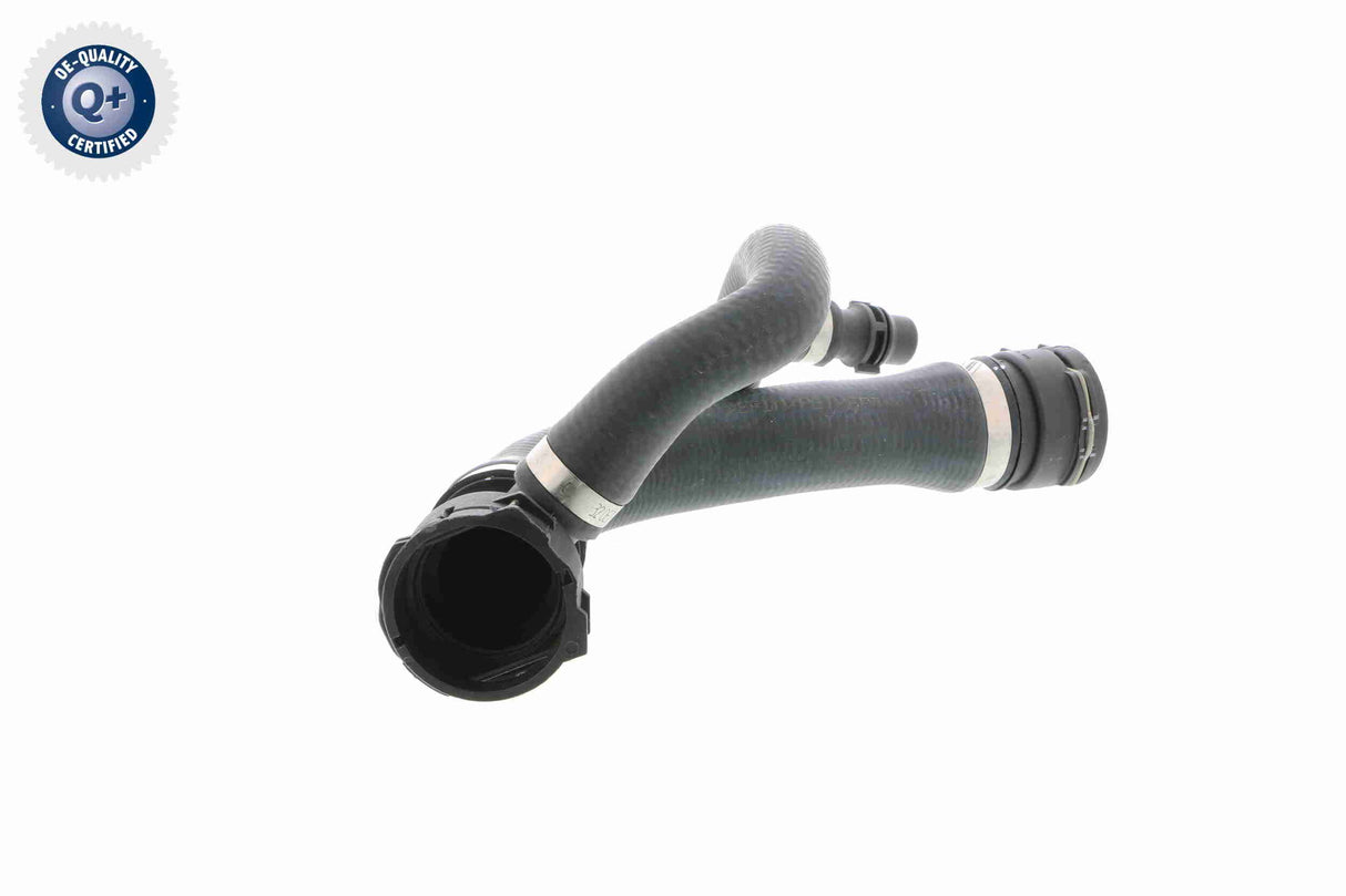 Radiator Hose - V20-1768