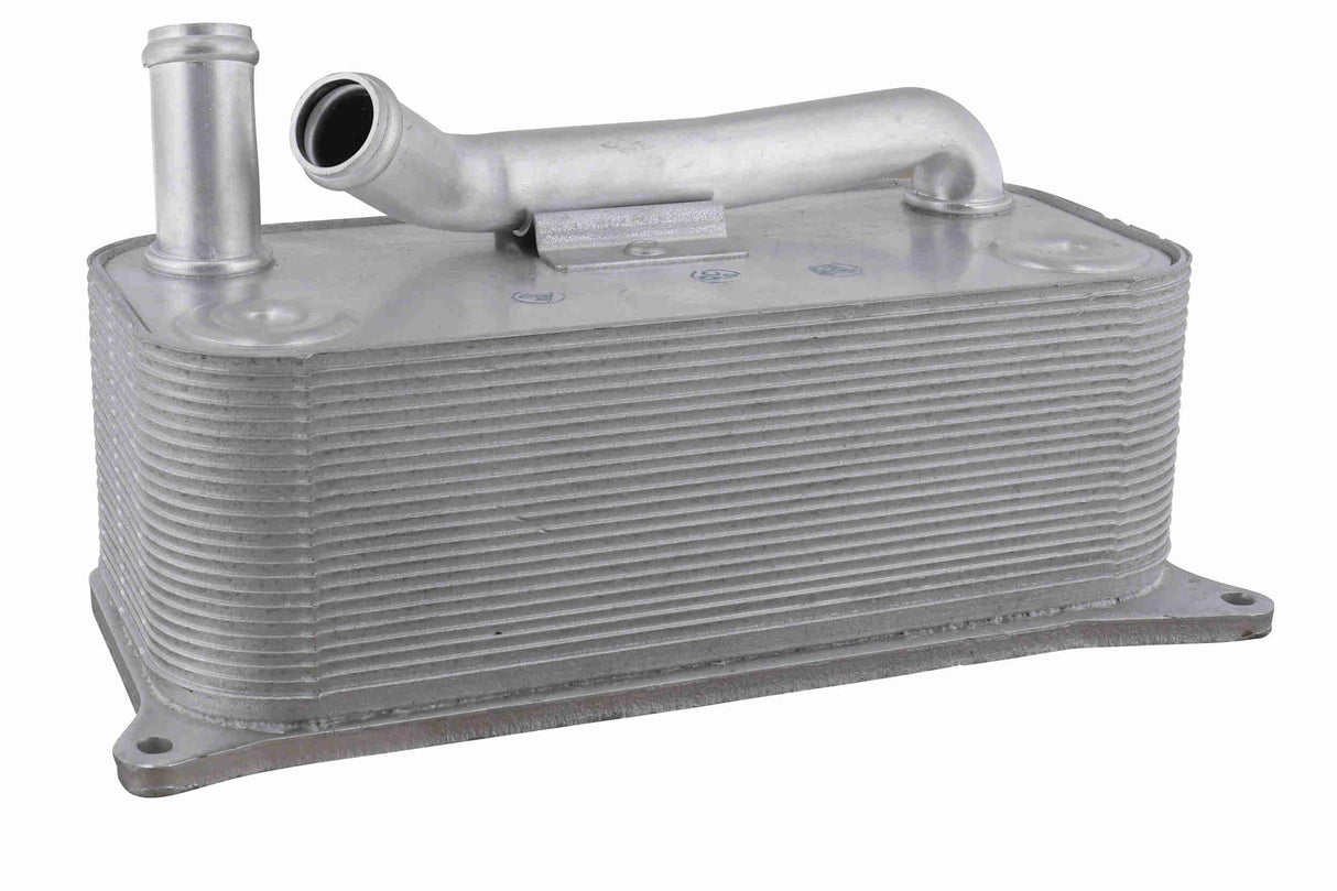 Oil Cooler, engine oil - V15-60-6085