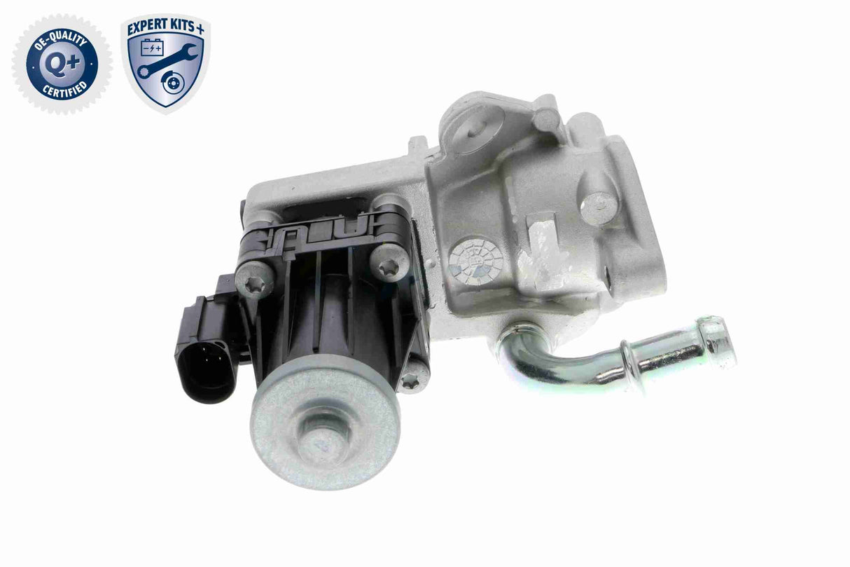 Valve, exhaust gas recirculation - V25-63-0019