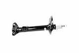 Shock Absorber - V20-7311