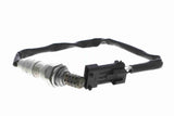 Oxygen Sensor - V42-76-0008