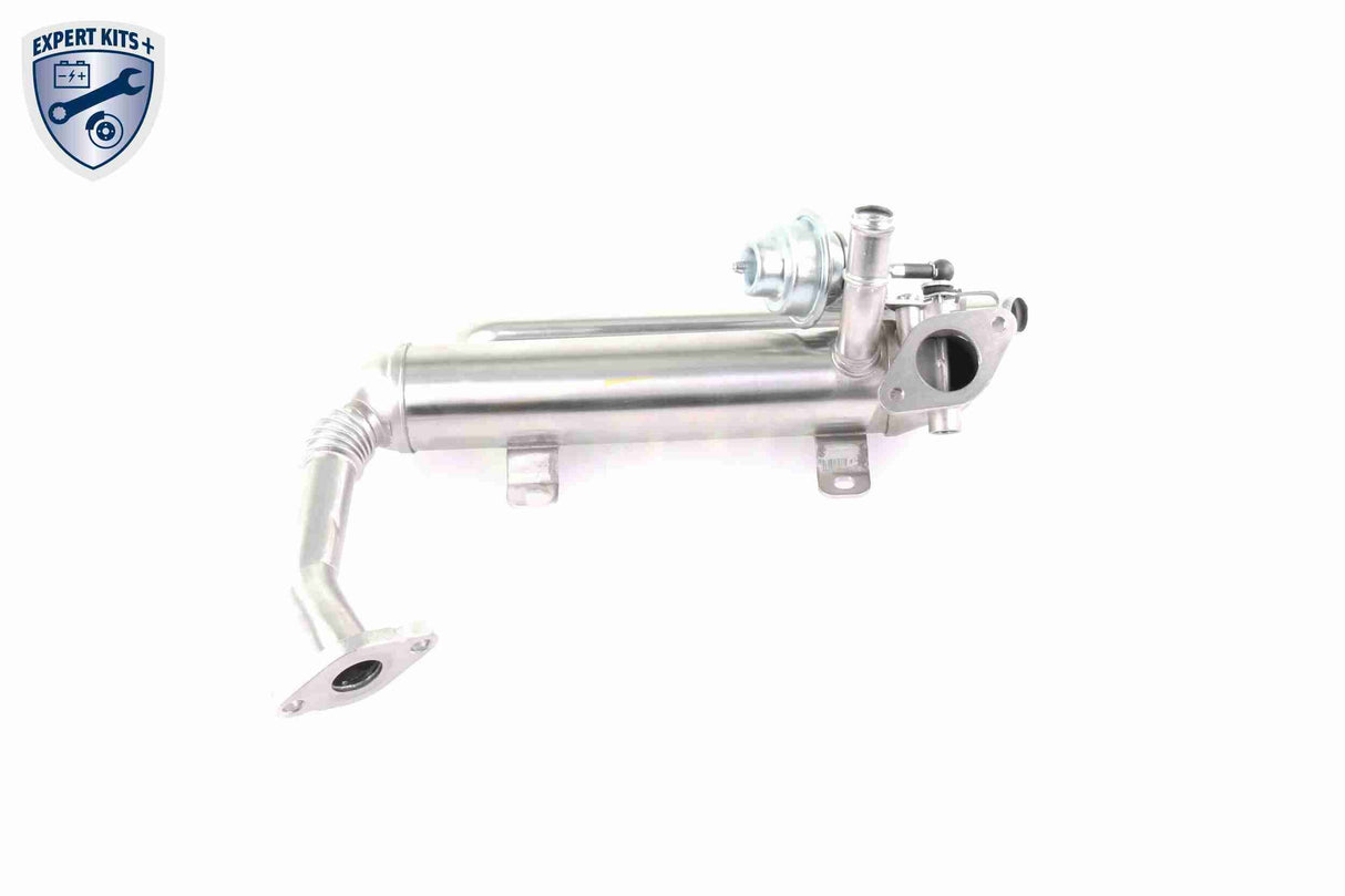 Cooler, exhaust gas recirculation - V10-63-0100