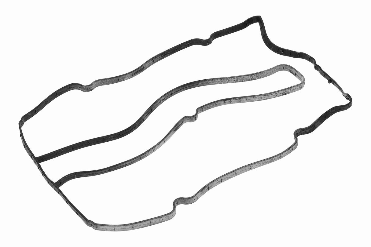 Gasket, cylinder head cover - V25-2123