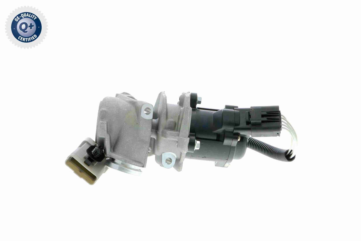 Valve, exhaust gas recirculation - V25-63-0007